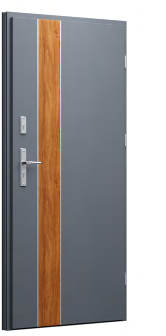 FI01b